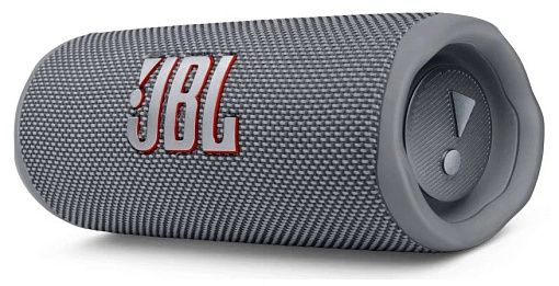 JBL Flip 6 Gray