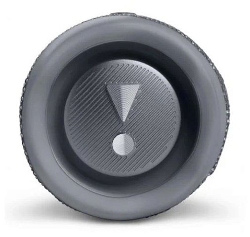 JBL Flip 6 Gray
