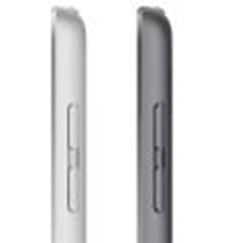iPad 10,2" (2021) Wi-Fi 256 ГБ, Silver