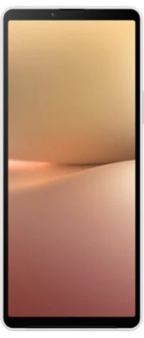 Sony Xperia 10 V XQ-DC72 8/128 White